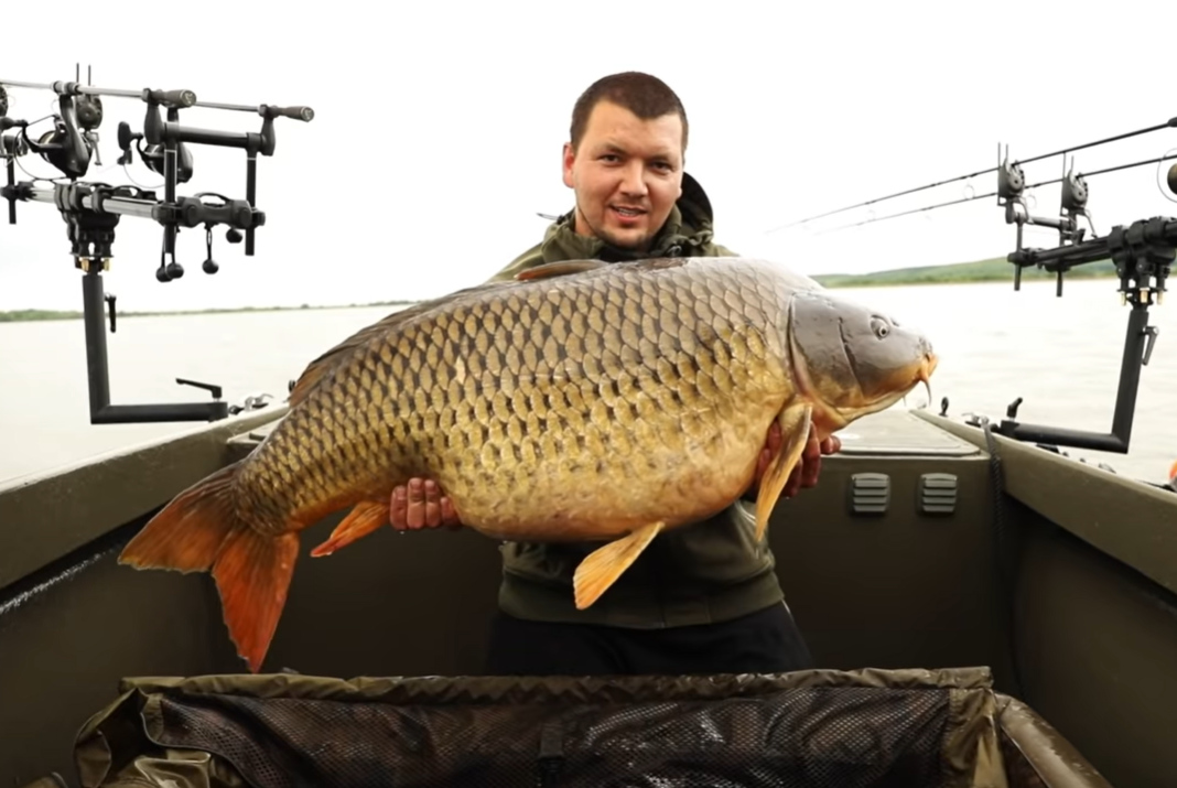 Video: Lov kaprů z lodě na Nových Mlýnech