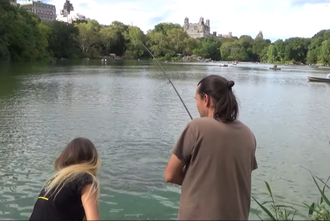 Video: Lov kaprů na Manhattanu