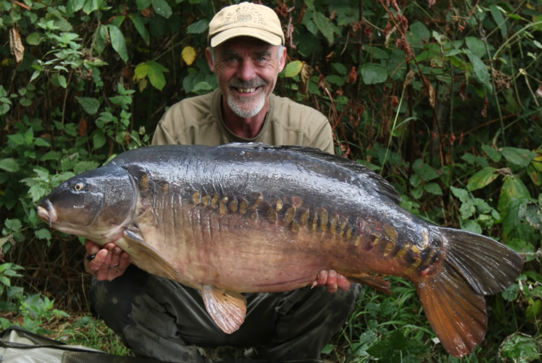 Video: Jak s úspěchem lovit kapry během podzimu