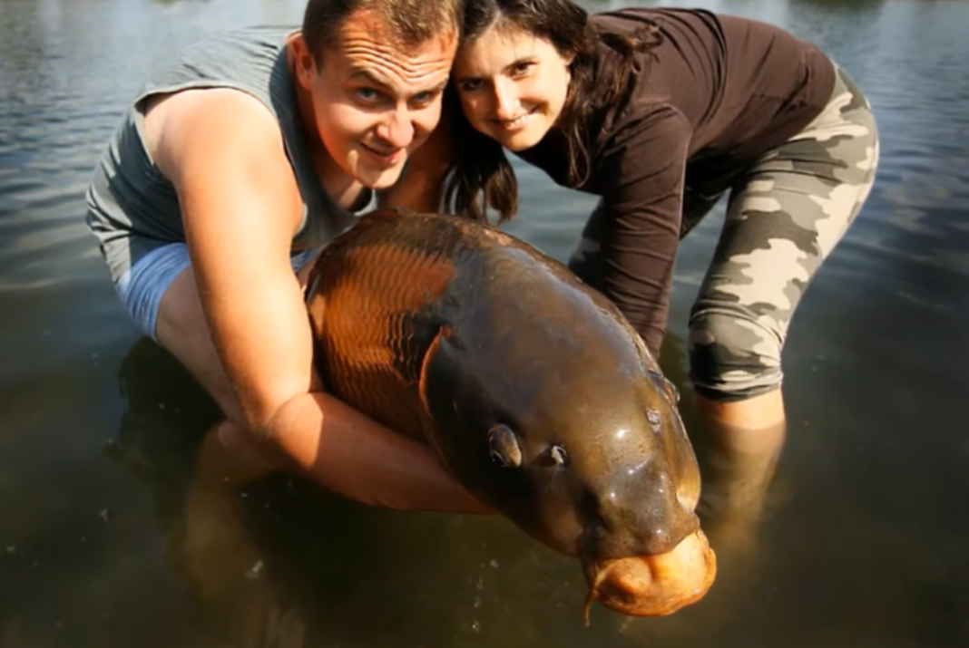 Video: Velký šupináč z rozpálené Itálie