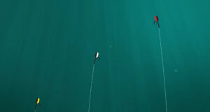 Video: 35 tipů pro úspěšný zimní rybolov