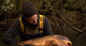 Video: Cílený lov velkých kaprů v zimě