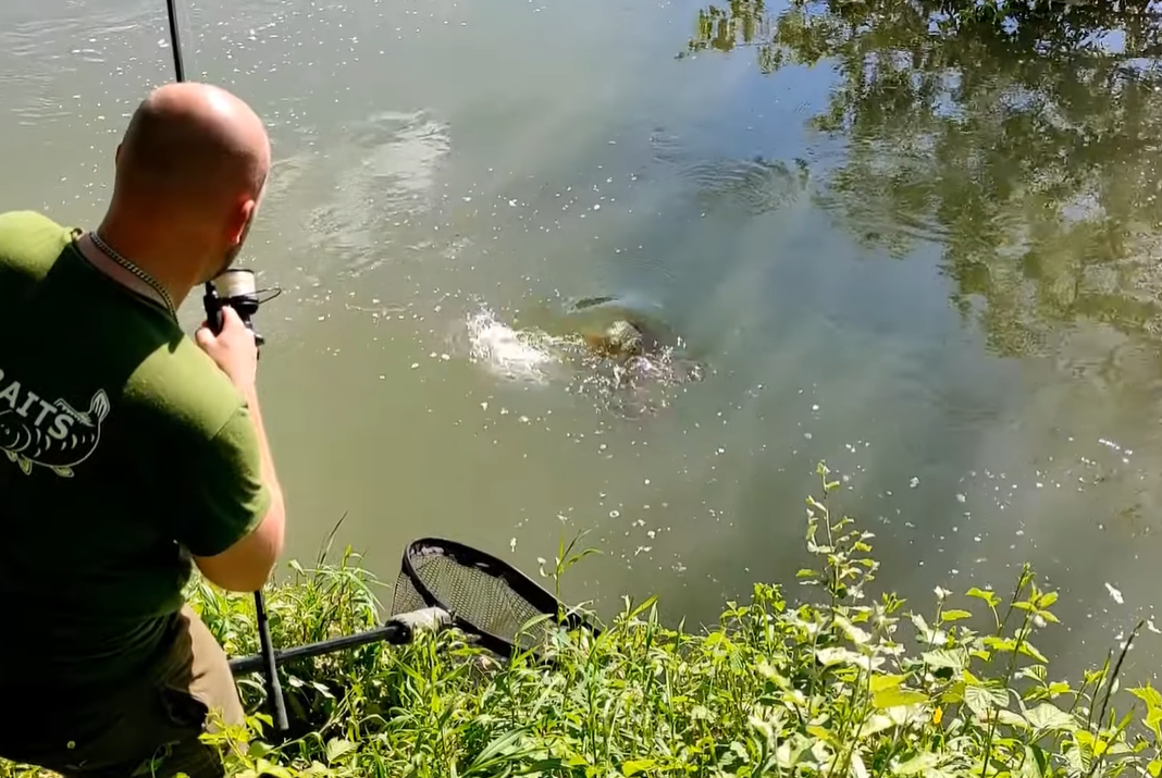 Video: Lov kaprů na řece Váh (2021)