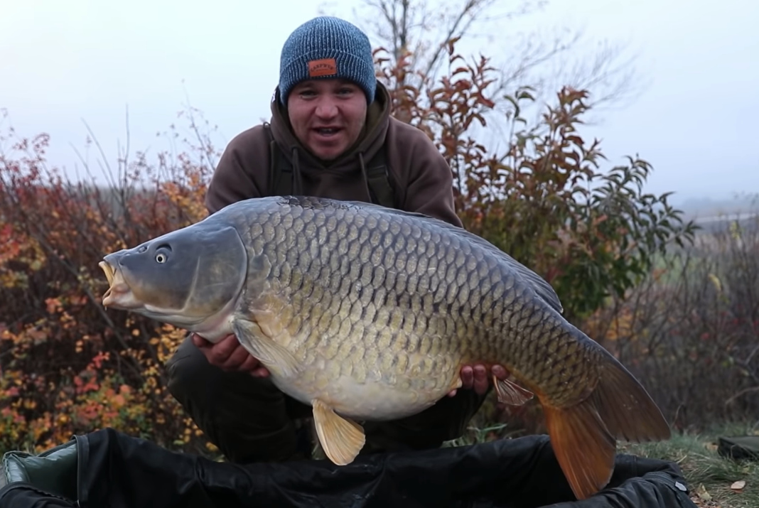 Video: Životní výprava pod Pálavou Jiřího Majera
