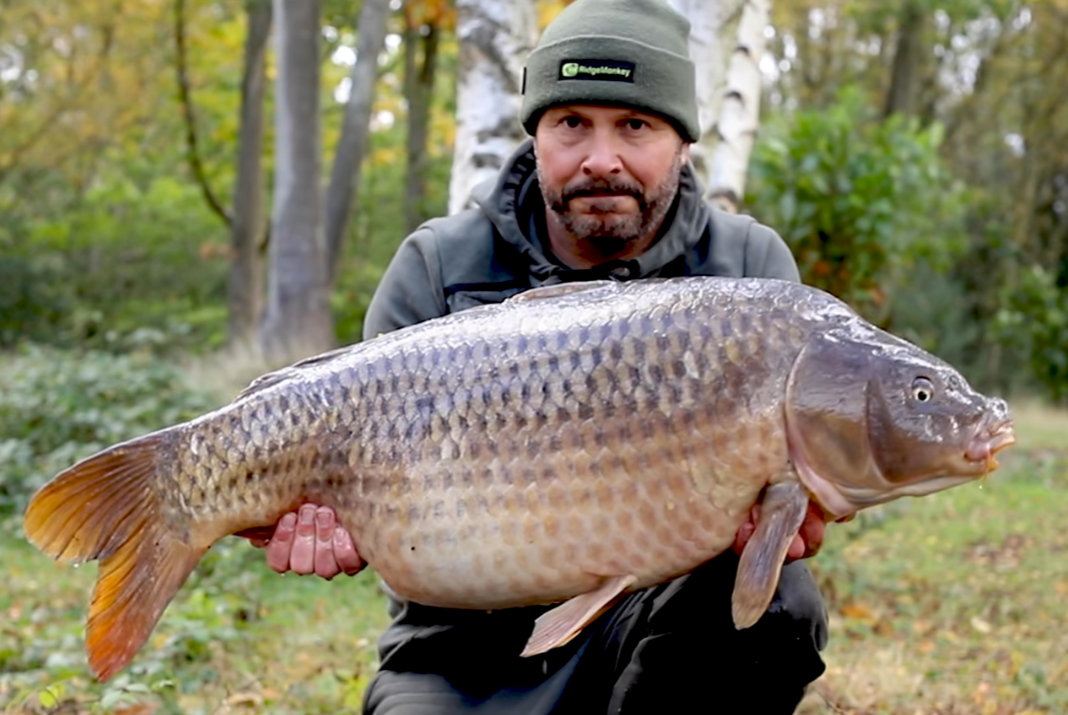 Video: Dave Levy po 7 letech na Frimlay Pits!