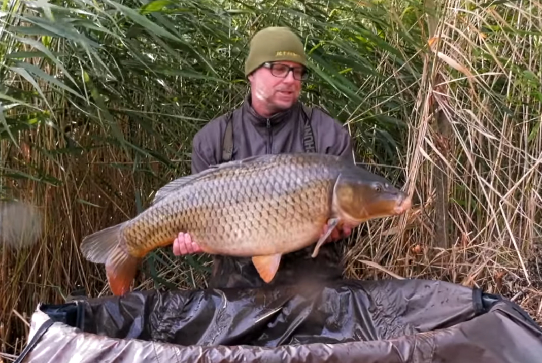 Video: Po stopách šumavských kaprů