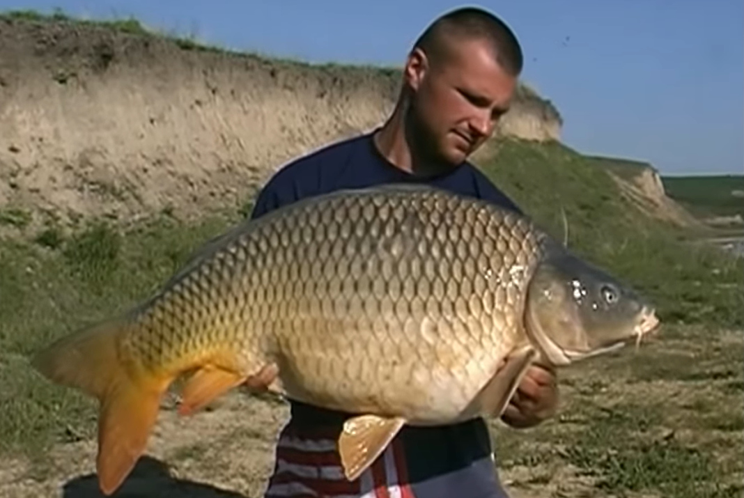 Video: Dávná Raduta