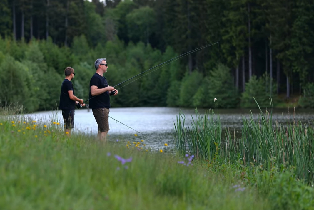 Video: Lov kaprů z hladiny na rohlík
