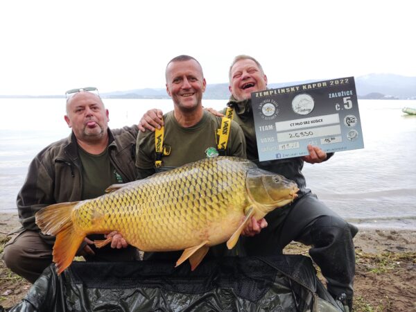 big carp