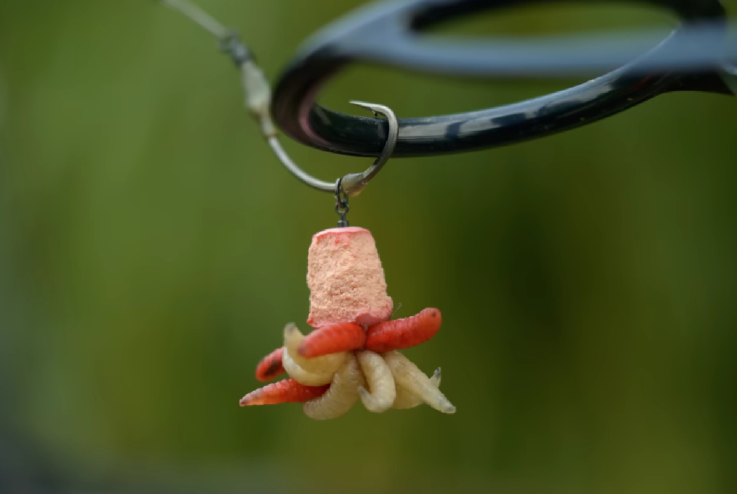 Video: Lov na červy - taktika pro pozdní podzim