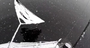 Video: Orlík - kapři na sněhu