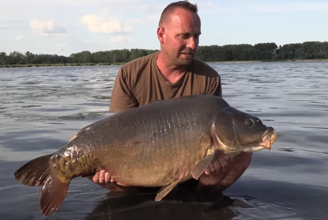 Video: Ako som začal chytať na Kráľovej (2x kapor 20kg+)