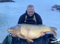 Rekord Balatonu pokořen těsně před začátkem IBCC! Rekord Balatonu pokořen těsně před začátkem IBCC!