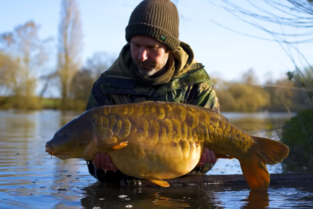 Video: Chod Rig – opomíjená zbraň na opatrné kapry?