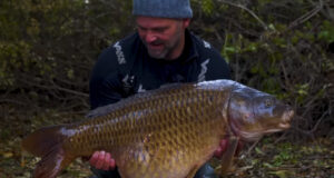 Video: Lov velkých kaprů na přírodní nástrahy