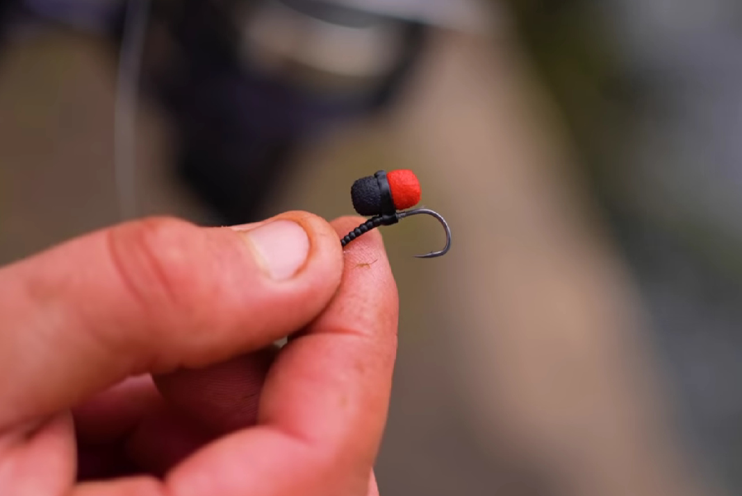 Video: Lov velkých kaprů na Zig Rig