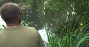 Video: Ulovíte více kaprů, když budete nenápadní?