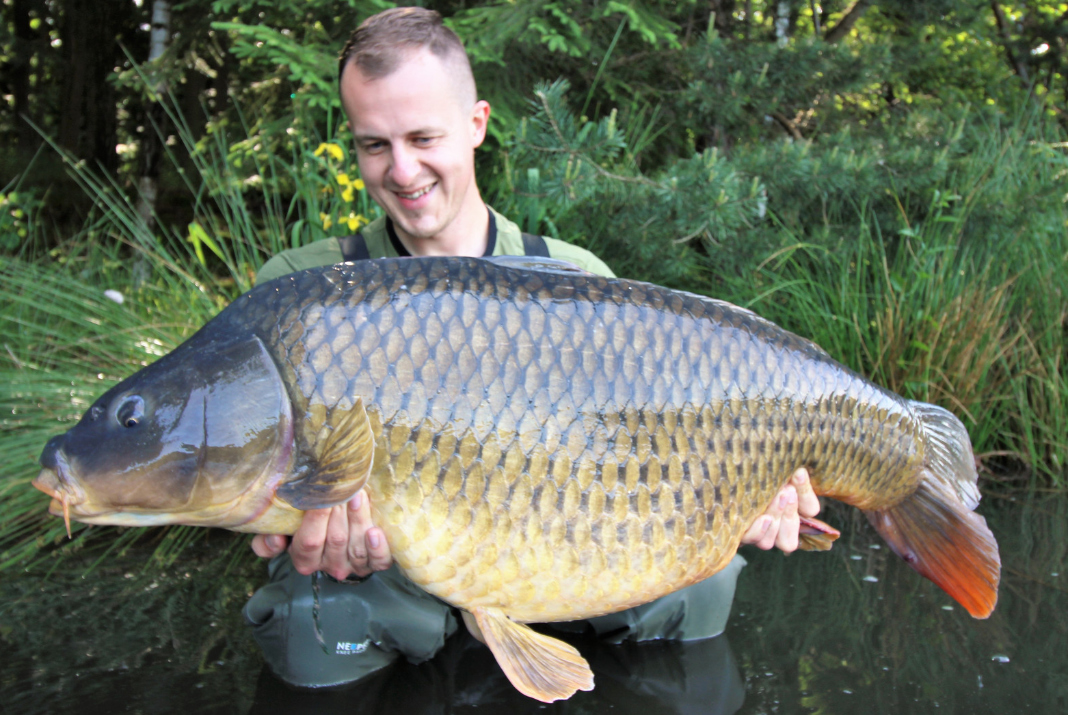 Velikáni ze zabahněných vod