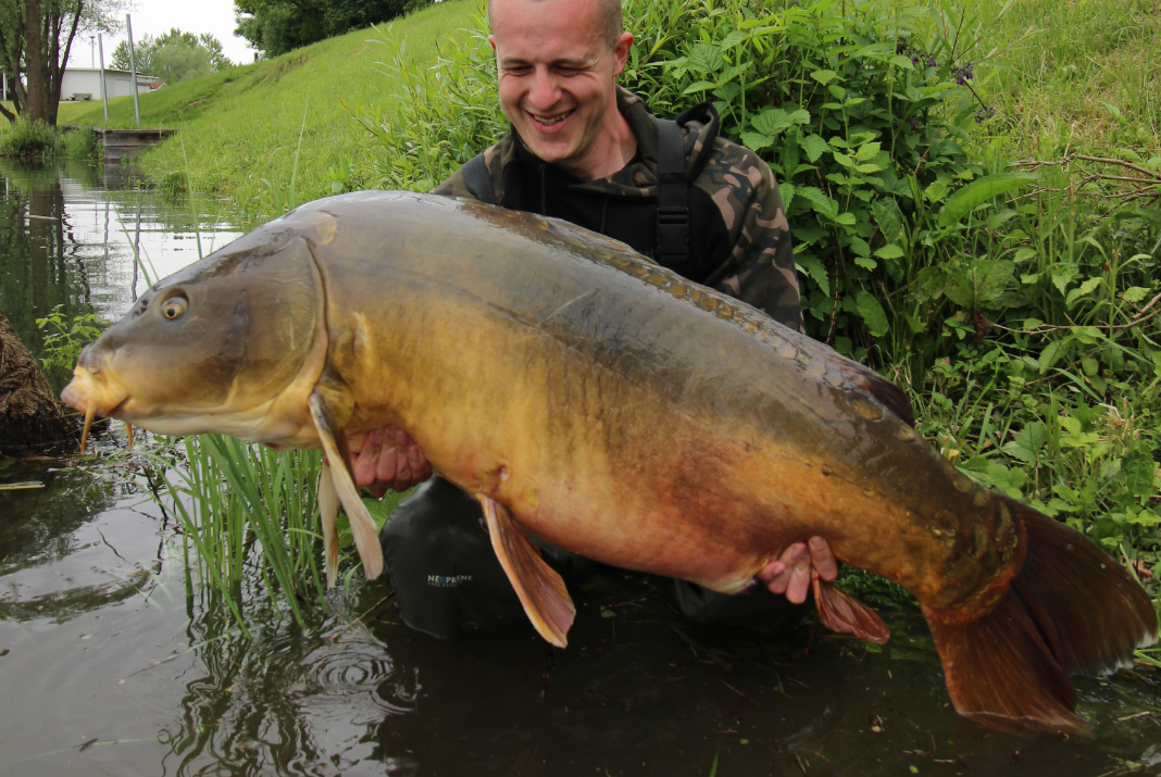 Video: Radkův oblíbený návazec na velké kapry a úlovek rekordního kapra z rakouského jezera