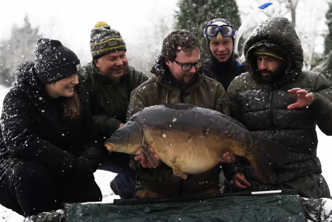 Pod vodní hladinou: Lov kaprů na sněhu v podání Ali Hamidiho