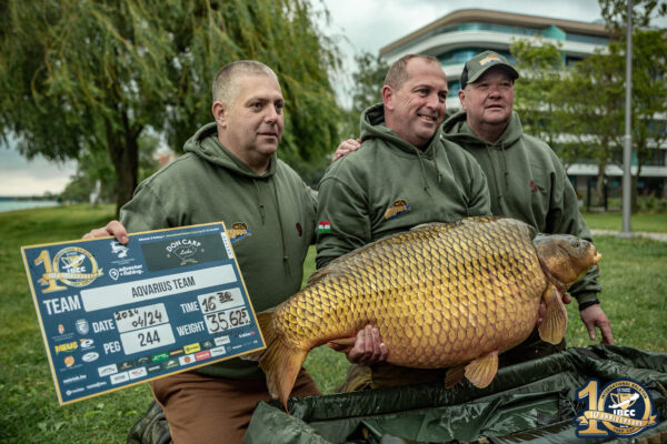 Balaton rekordni kapr