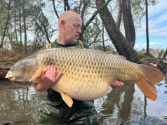 Zprávy ze světa od Steva Briggse 4/2024