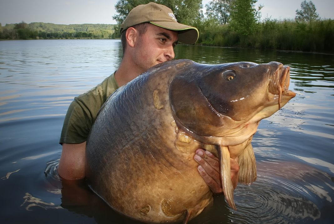 Video: Tajemství lovu velkých kaprů!