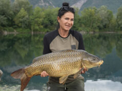 Video: Obrovští kapři v horách!