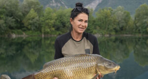 Video: Obrovští kapři v horách!