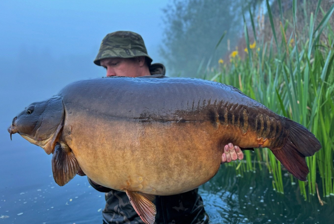 Zprávy ze světa od Steva Briggse 6/2024