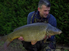 Video: Hledání velkých divokých kaprů