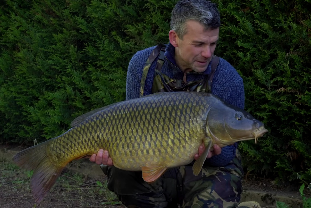 Video: Hledání velkých divokých kaprů