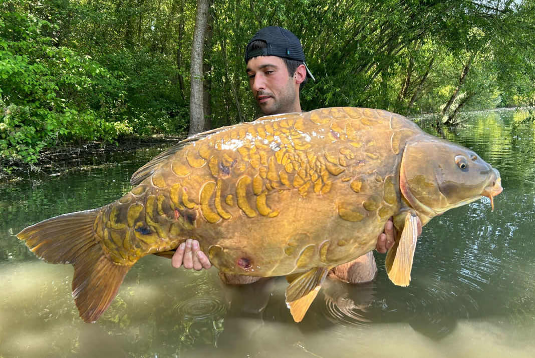 Zprávy ze světa od Steva Briggse 7/2024