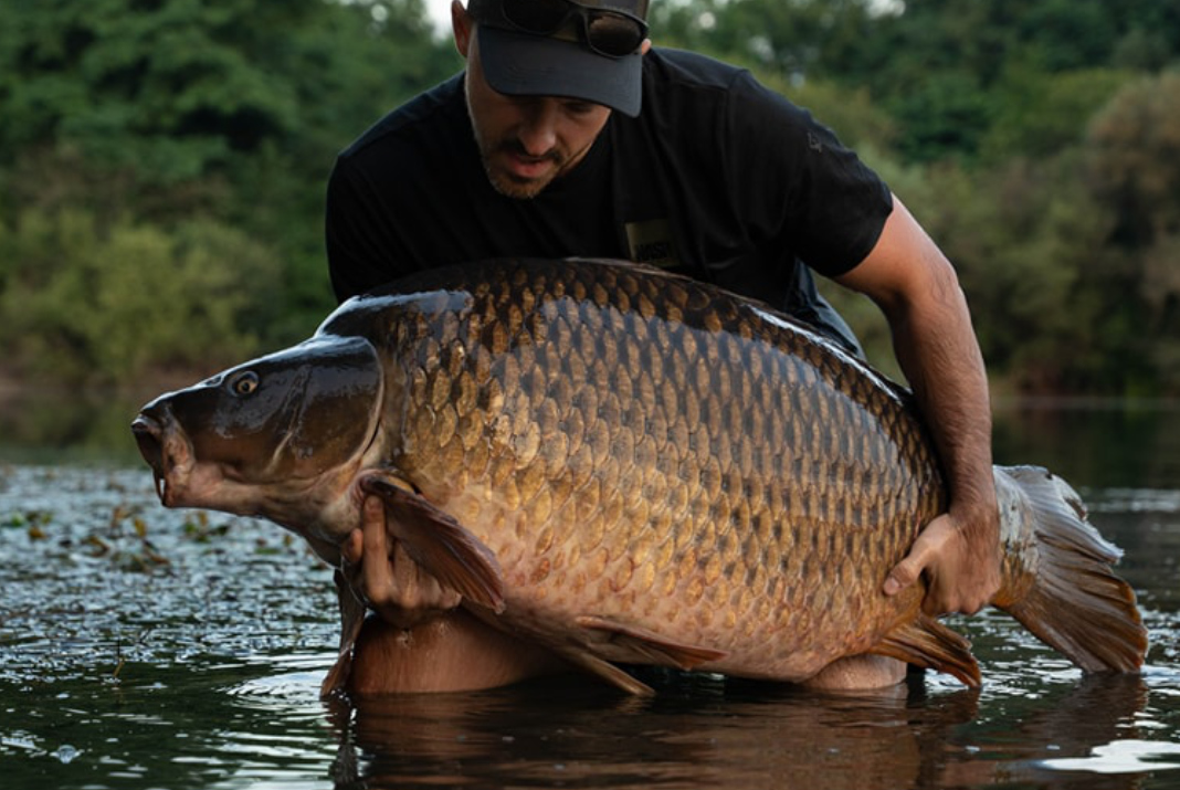Zprávy ze světa od Steva Briggse 8/2024