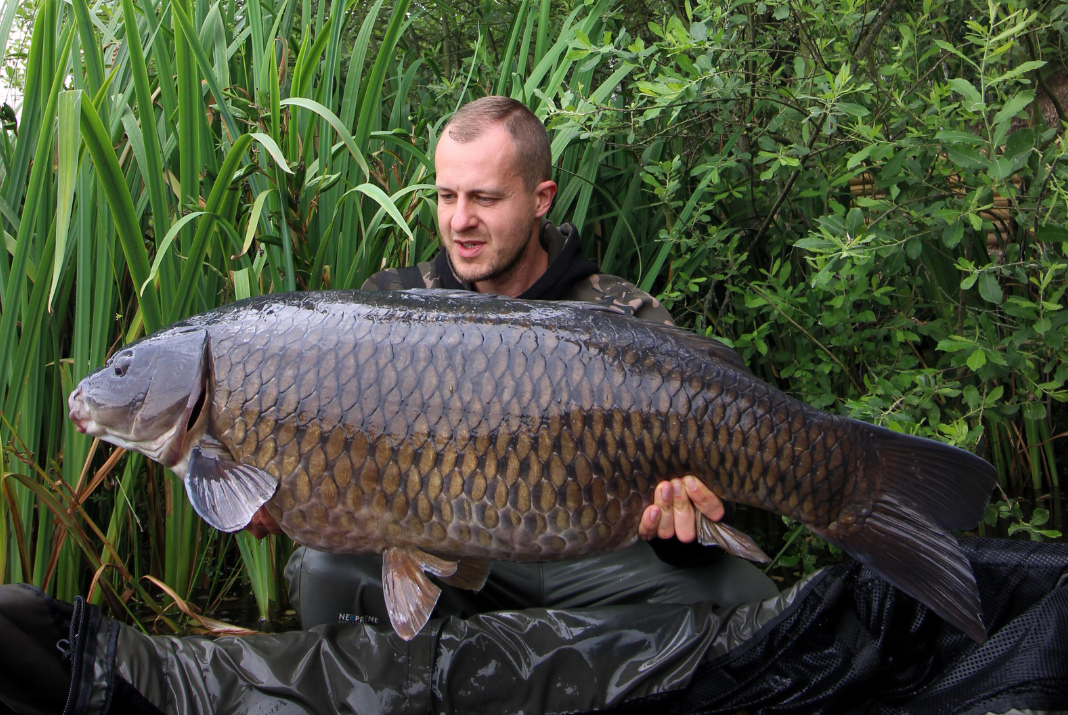 Lov kaprů na plovoucí nástrahy z hladiny