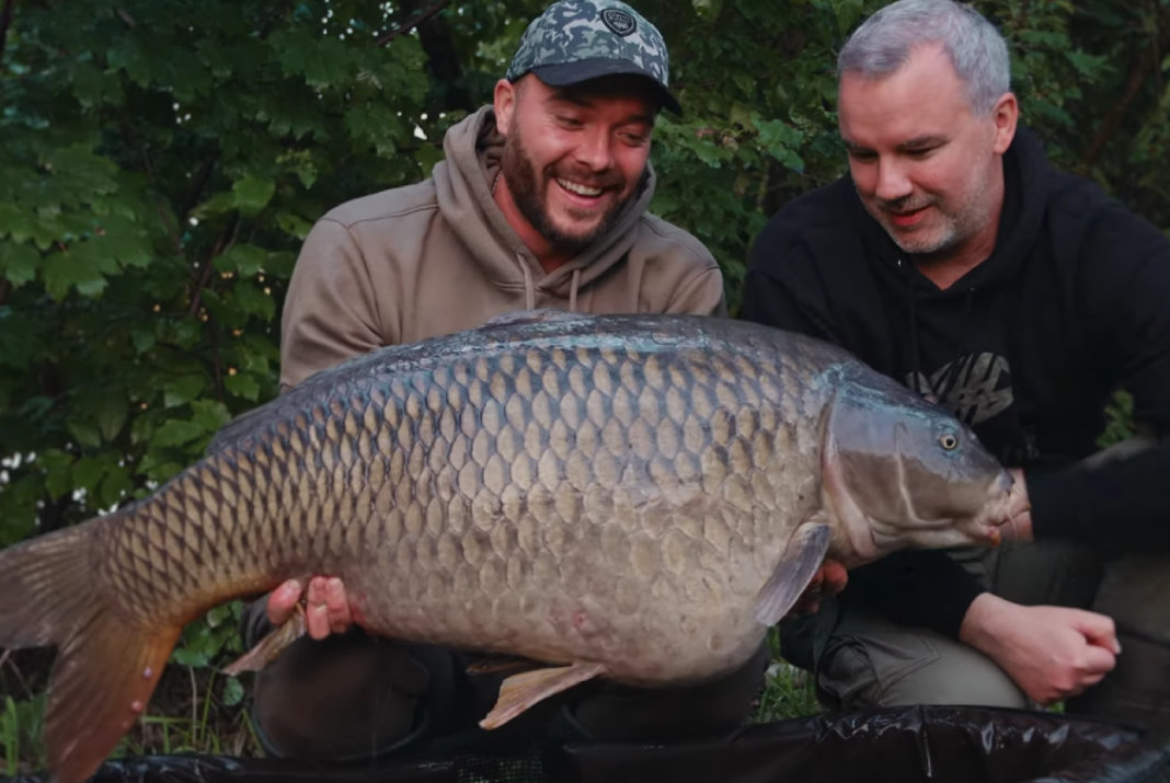 Video: Podzimní lov lapra na pískovně 2024 | Kapr 26kg+