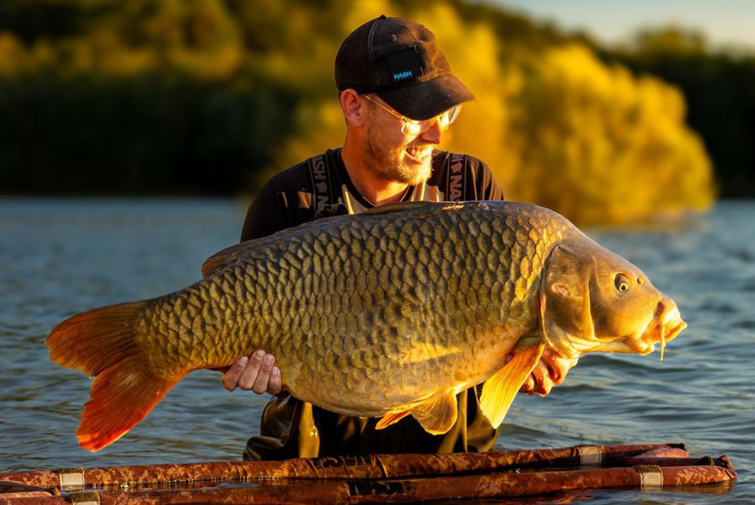 Zprávy ze světa od Steva Briggse 12/2024