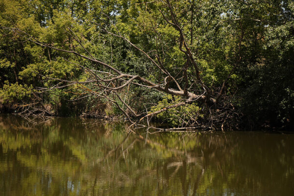 Hotspot spadly strom