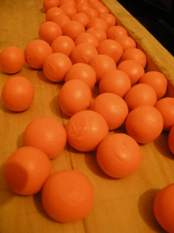 DSCN1913
