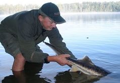 Podzim na jezeře Jaroslav Podzim na jezeře Jaroslav
