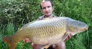 Zelené peklo Francie