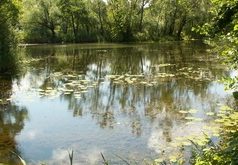 Kapraření na malých vodách Kapraření na malých vodách