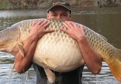 Rekordní kapr o váze 35,2 kg Rekordní kapr o váze 35,2 kg