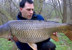 Pod nohama to jde také… Pod nohama to jde také...