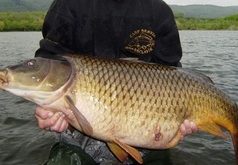 Konečně na ryby – Chlumec Konečně na ryby – Chlumec